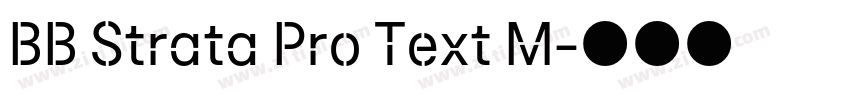 BB Strata Pro Text M字体转换